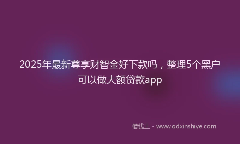 2025年最新尊享财智金好下款吗，整理5个黑户可以做大额贷款app