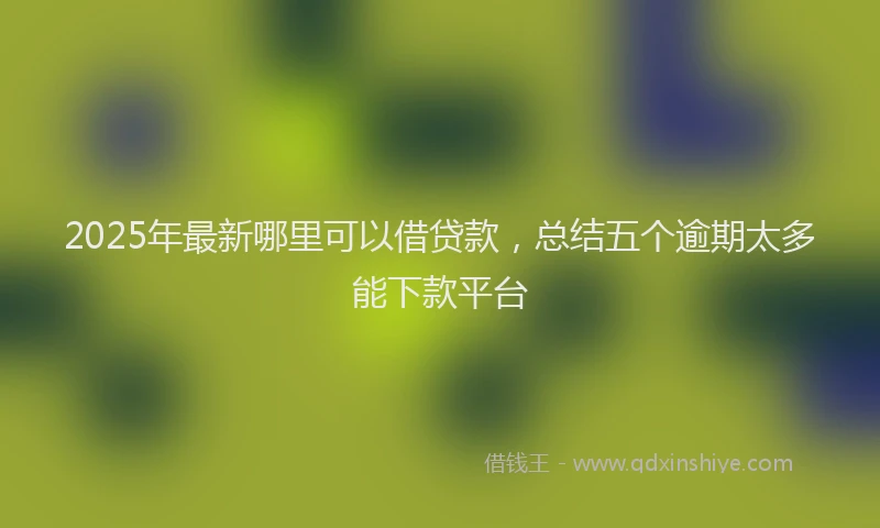 2025年最新哪里可以借贷款，总结五个逾期太多能下款平台