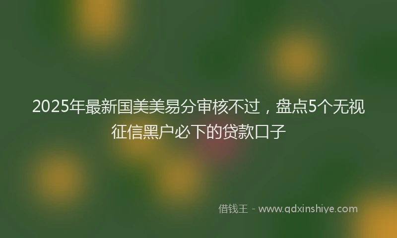 2025年最新国美美易分审核不过，盘点5个无视征信黑户必下的贷款口子