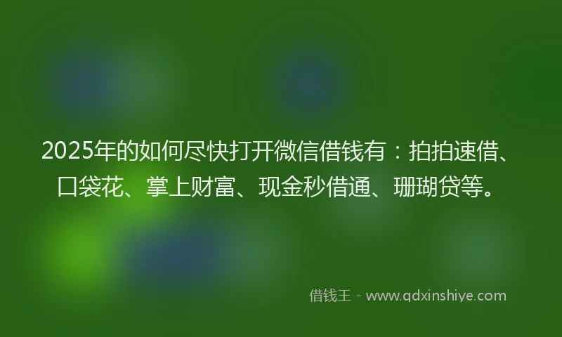 2025年的如何尽快打开微信借钱有：拍拍速借、口袋花、掌上财富、现金秒借通、珊瑚贷等。