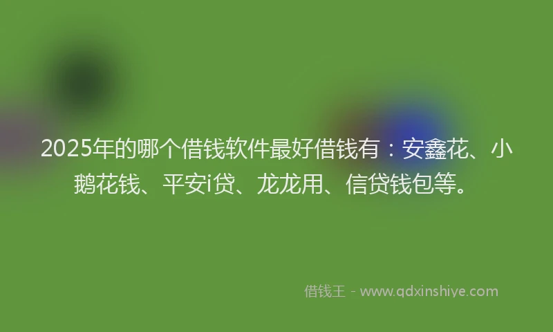 2025年的哪个借钱软件最好借钱有：安鑫花、小鹅花钱、平安i贷、龙龙用、信贷钱包等。