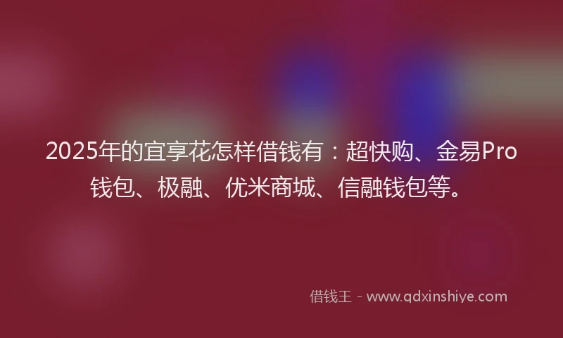 2025年的宜享花怎样借钱有：超快购、金易Pro钱包、极融、优米商城、信融钱包等。