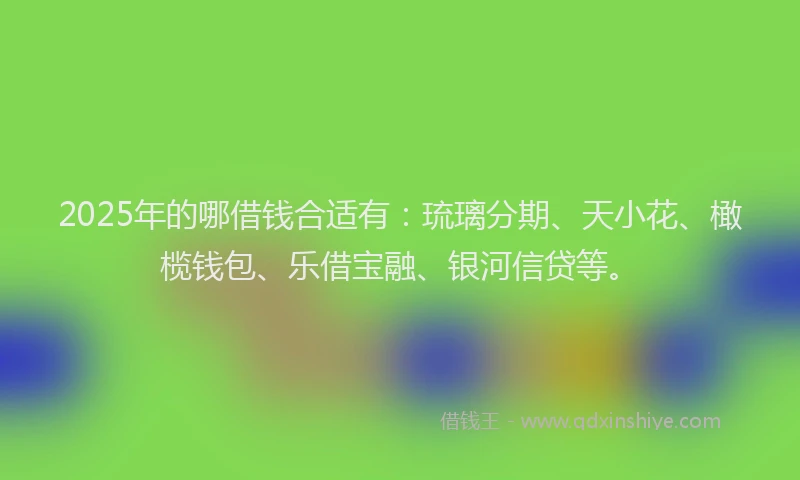 2025年的哪借钱合适有：琉璃分期、天小花、橄榄钱包、乐借宝融、银河信贷等。
