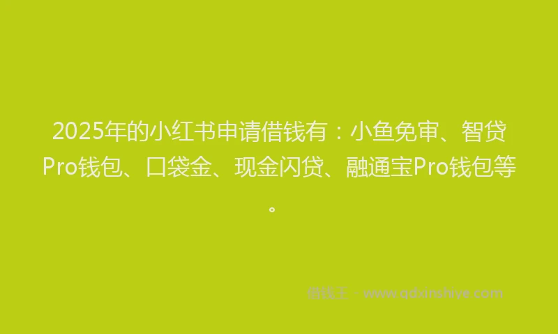 2025年的小红书申请借钱有：小鱼免审、智贷Pro钱包、口袋金、现金闪贷、融通宝Pro钱包等。