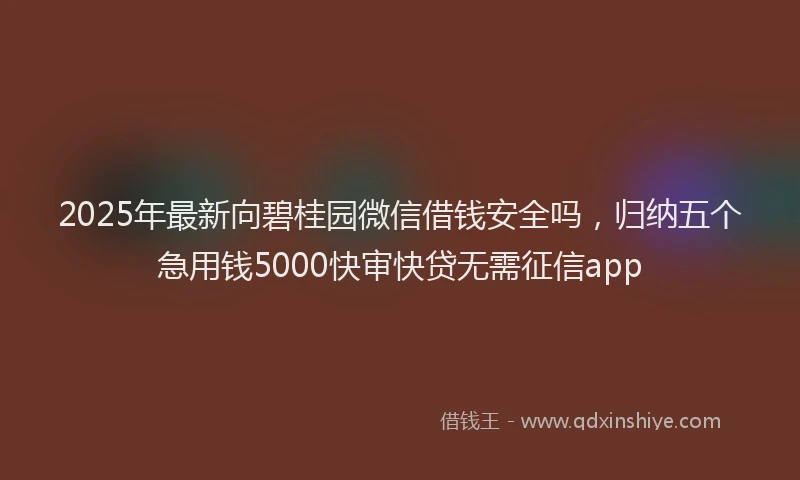 2025年最新向碧桂园微信借钱安全吗，归纳五个急用钱5000快审快贷无需征信app