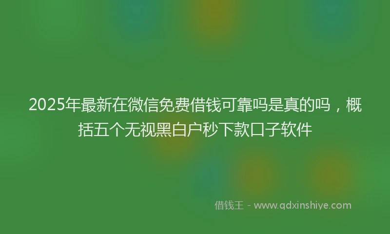 2025年最新在微信免费借钱可靠吗是真的吗，概括五个无视黑白户秒下款口子软件