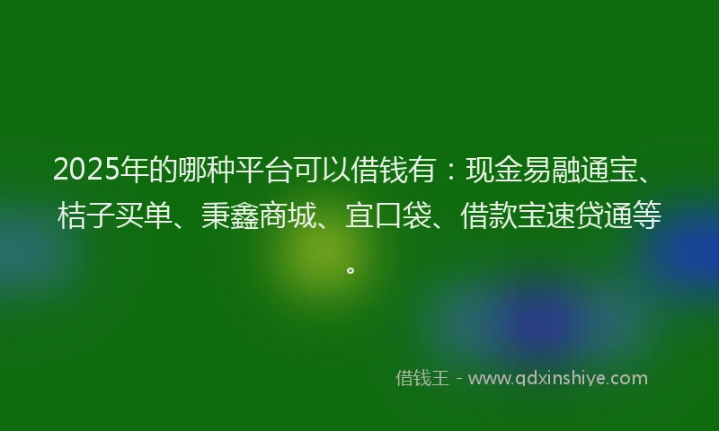 2025年的哪种平台可以借钱有：现金易融通宝、桔子买单、秉鑫商城、宜口袋、借款宝速贷通等。