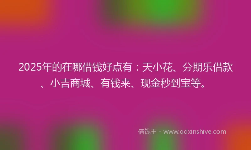 2025年的在哪借钱好点有：天小花、分期乐借款、小吉商城、有钱来、现金秒到宝等。