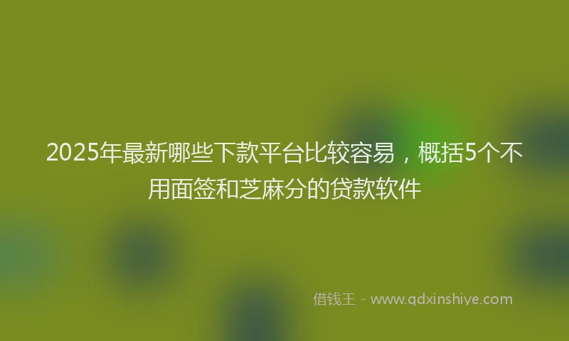 2025年最新哪些下款平台比较容易，概括5个不用面签和芝麻分的贷款软件
