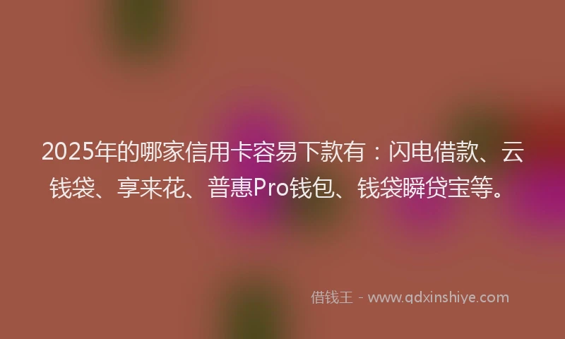 2025年的哪家信用卡容易下款有：闪电借款、云钱袋、享来花、普惠Pro钱包、钱袋瞬贷宝等。