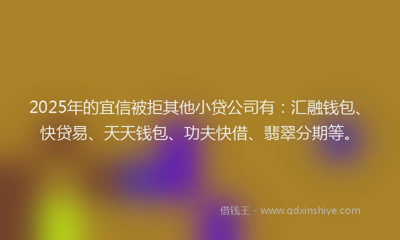 2025年的宜信被拒其他小贷公司有：汇融钱包、快贷易、天天钱包、功夫快借、翡翠分期等。