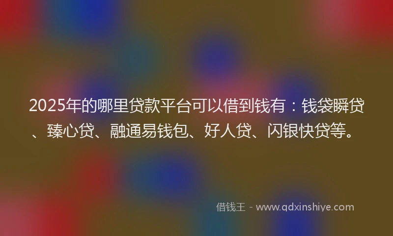 2025年的哪里贷款平台可以借到钱有：钱袋瞬贷、臻心贷、融通易钱包、好人贷、闪银快贷等。