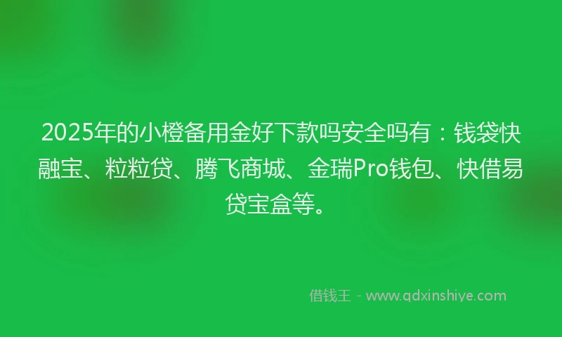2025年的小橙备用金好下款吗安全吗有：钱袋快融宝、粒粒贷、腾飞商城、金瑞Pro钱包、快借易贷宝盒等。