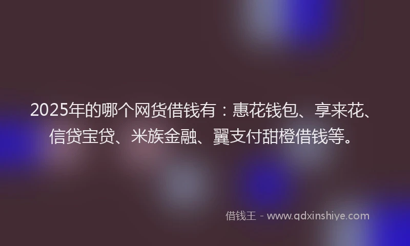 2025年的哪个网货借钱有：惠花钱包、享来花、信贷宝贷、米族金融、翼支付甜橙借钱等。