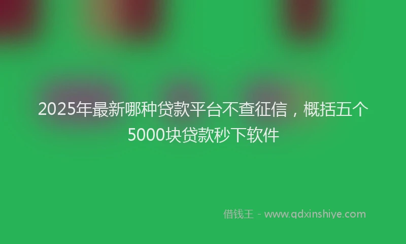 2025年最新哪种贷款平台不查征信，概括五个5000块贷款秒下软件