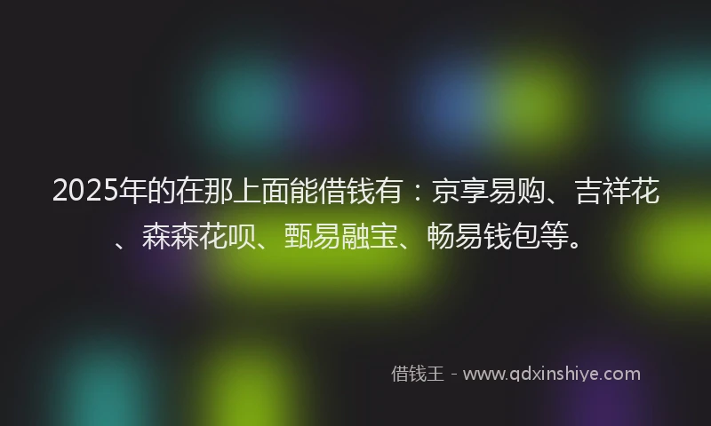 2025年的在那上面能借钱有：京享易购、吉祥花、森森花呗、甄易融宝、畅易钱包等。