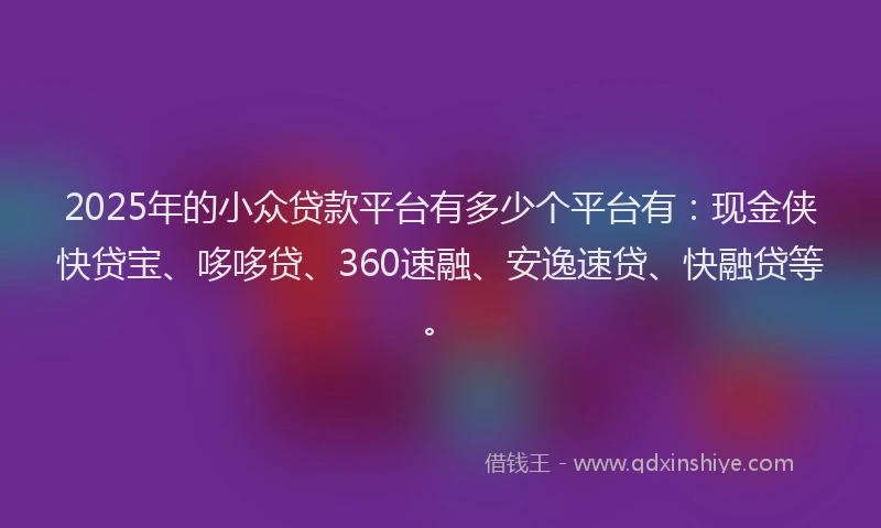2025年的小众贷款平台有多少个平台有：现金侠快贷宝、哆哆贷、360速融、安逸速贷、快融贷等。