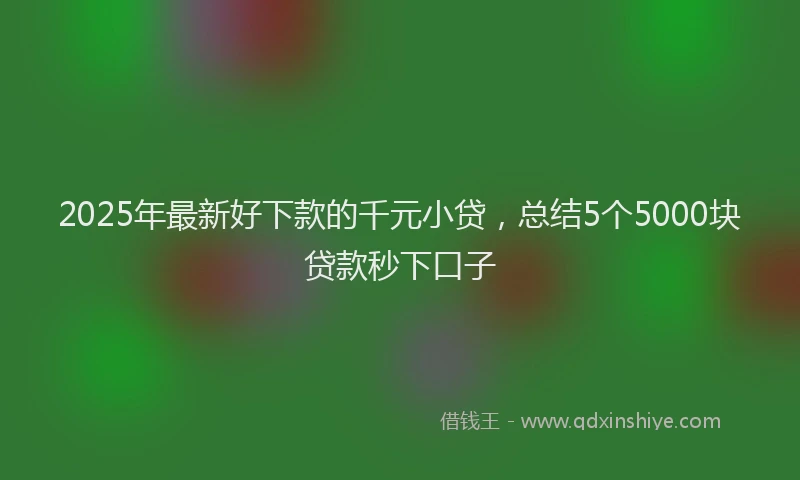 2025年最新好下款的千元小贷，总结5个5000块贷款秒下口子