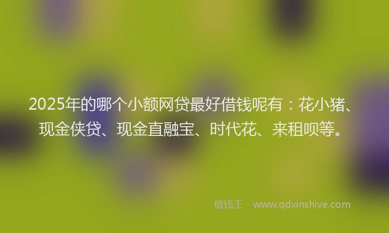 2025年的哪个小额网贷最好借钱呢有：花小猪、现金侠贷、现金直融宝、时代花、来租呗等。