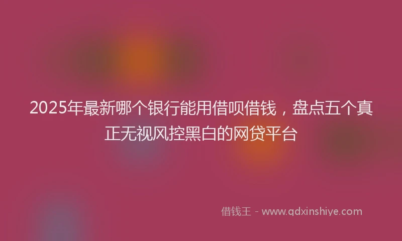 2025年最新哪个银行能用借呗借钱，盘点五个真正无视风控黑白的网贷平台