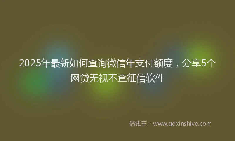 2025年最新如何查询微信年支付额度，分享5个网贷无视不查征信软件