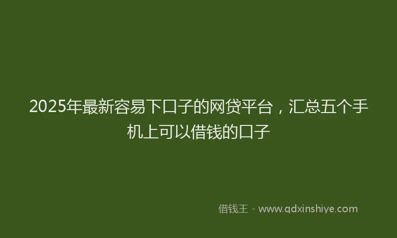 2025年最新容易下口子的网贷平台，汇总五个手机上可以借钱的口子