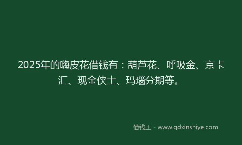 2025年的嗨皮花借钱有：葫芦花、呼吸金、京卡汇、现金侠士、玛瑙分期等。
