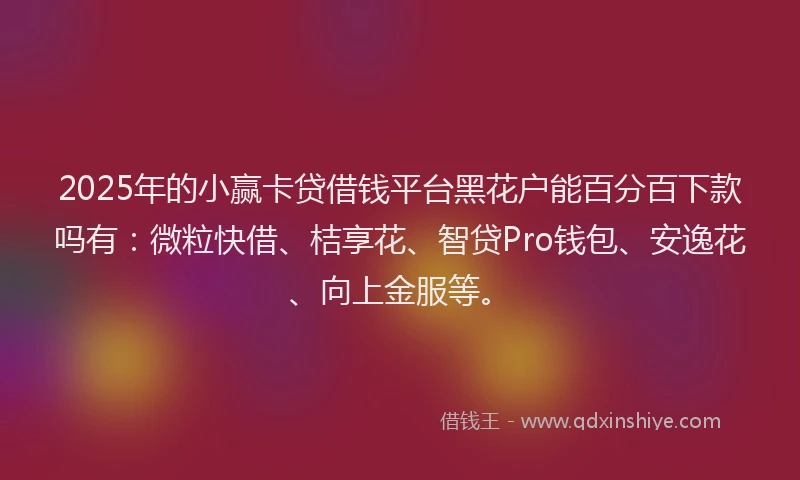 2025年的小赢卡贷借钱平台黑花户能百分百下款吗有：微粒快借、桔享花、智贷Pro钱包、安逸花、向上金服等。