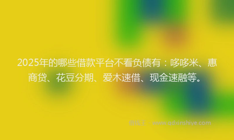 2025年的哪些借款平台不看负债有：哆哆米、惠商贷、花豆分期、爱木速借、现金速融等。