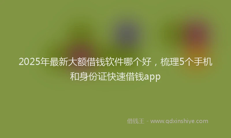 2025年最新大额借钱软件哪个好，梳理5个手机和身份证快速借钱app