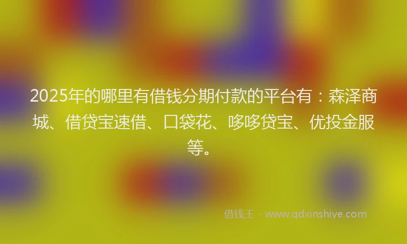 2025年的哪里有借钱分期付款的平台有：森泽商城、借贷宝速借、口袋花、哆哆贷宝、优投金服等。