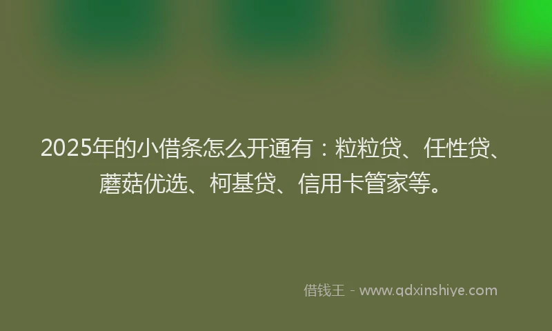 2025年的小借条怎么开通有：粒粒贷、任性贷、蘑菇优选、柯基贷、信用卡管家等。