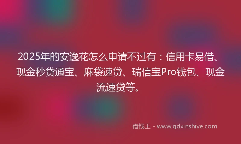 2025年的安逸花怎么申请不过有：信用卡易借、现金秒贷通宝、麻袋速贷、瑞信宝Pro钱包、现金流速贷等。