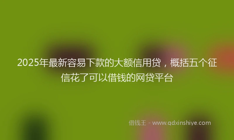 2025年最新容易下款的大额信用贷，概括五个征信花了可以借钱的网贷平台