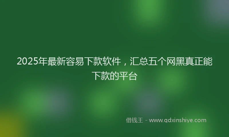 2025年最新容易下款软件，汇总五个网黑真正能下款的平台