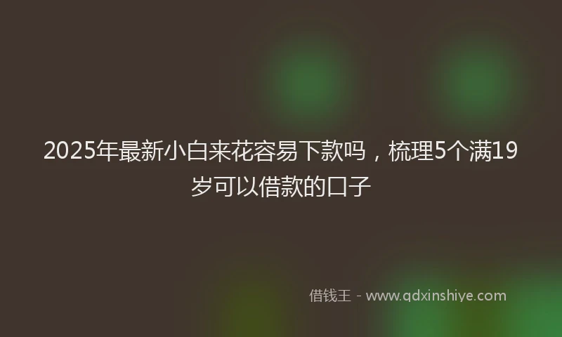 2025年最新小白来花容易下款吗，梳理5个满19岁可以借款的口子