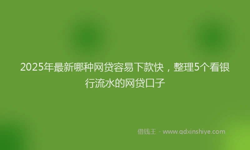 2025年最新哪种网贷容易下款快，整理5个看银行流水的网贷口子