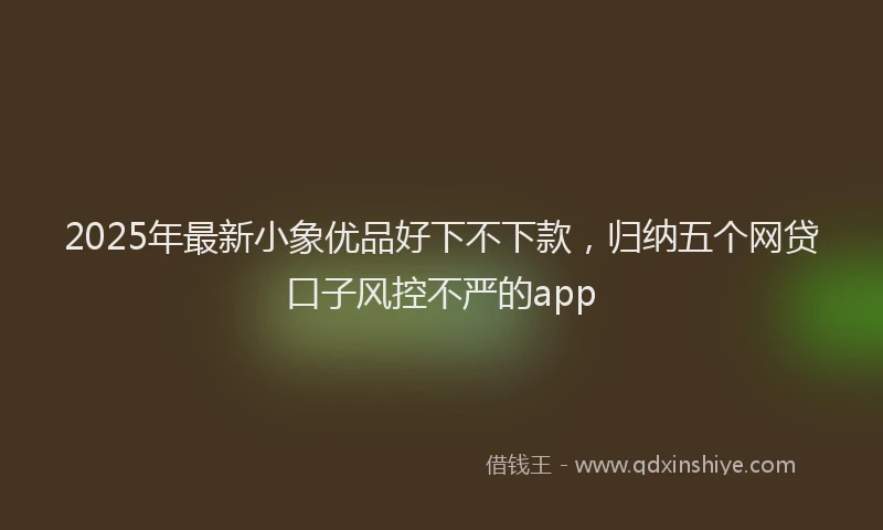 2025年最新小象优品好下不下款，归纳五个网贷口子风控不严的app