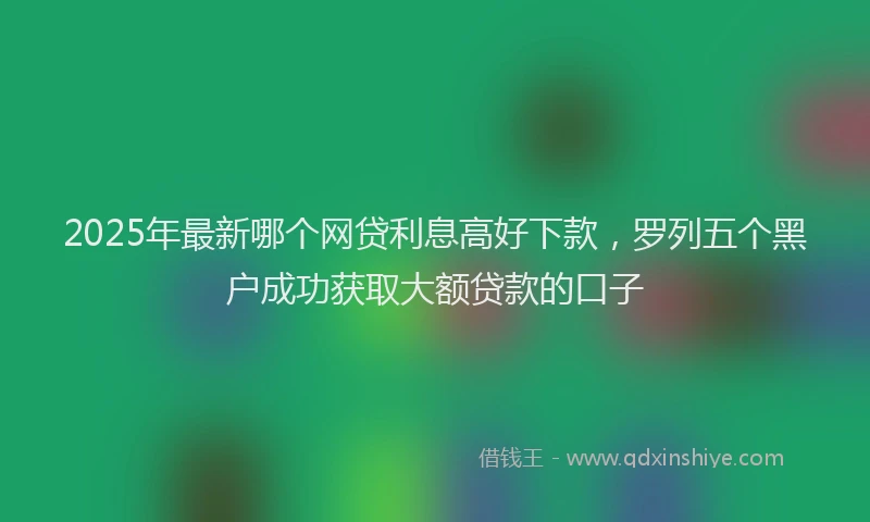 2025年最新哪个网贷利息高好下款，罗列五个黑户成功获取大额贷款的口子