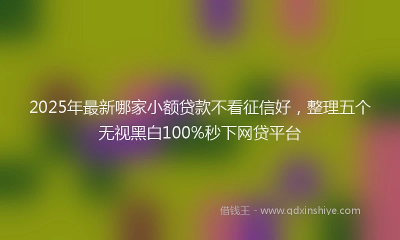2025年最新哪家小额贷款不看征信好，整理五个无视黑白100%秒下网贷平台
