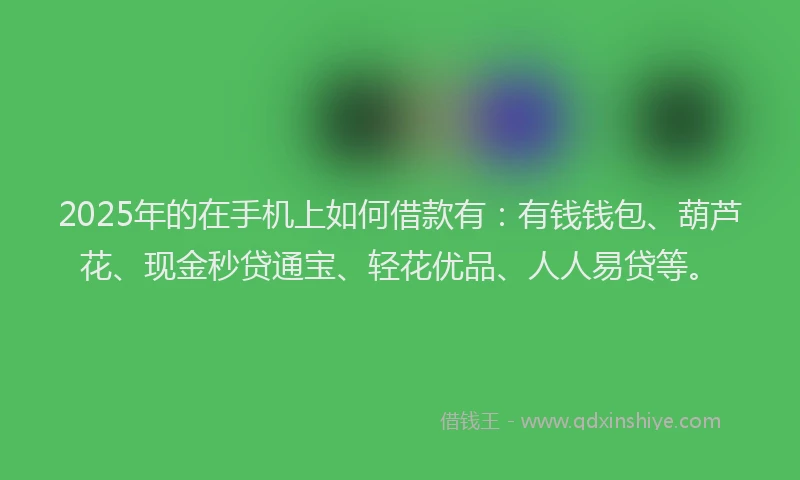 2025年的在手机上如何借款有：有钱钱包、葫芦花、现金秒贷通宝、轻花优品、人人易贷等。