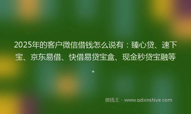 2025年的客户微信借钱怎么说有：臻心贷、速下宝、京东易借、快借易贷宝盒、现金秒贷宝融等。