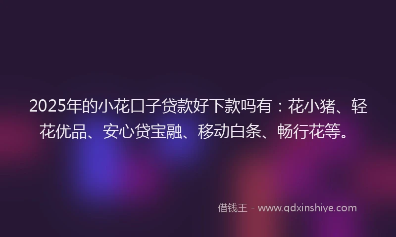 2025年的小花口子贷款好下款吗有：花小猪、轻花优品、安心贷宝融、移动白条、畅行花等。