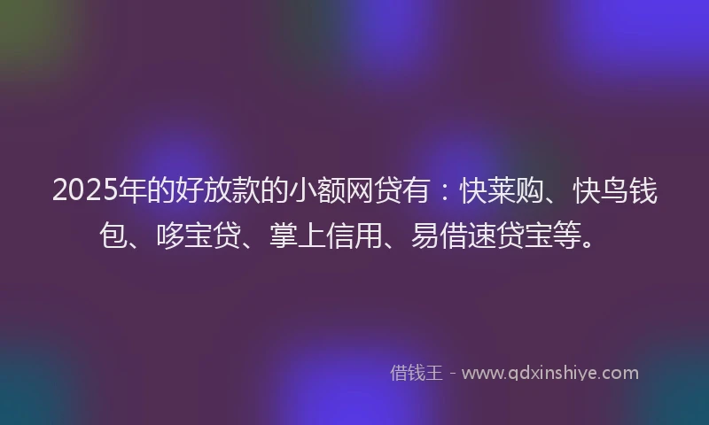 2025年的好放款的小额网贷有：快莱购、快鸟钱包、哆宝贷、掌上信用、易借速贷宝等。
