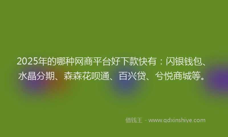 2025年的哪种网商平台好下款快有：闪银钱包、水晶分期、森森花呗通、百兴贷、兮悦商城等。