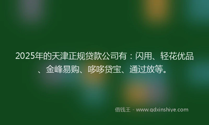 2025年的天津正规贷款公司有：闪用、轻花优品、金峰易购、哆哆贷宝、通过放等。