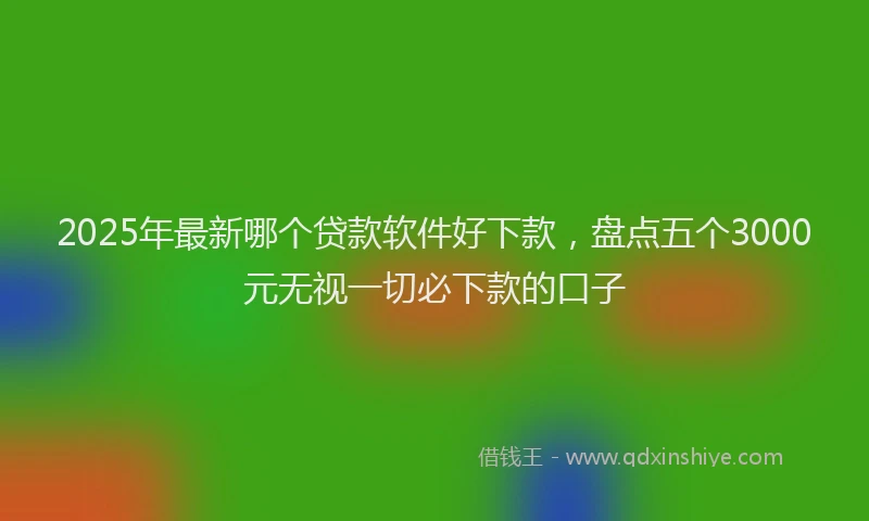 2025年最新哪个贷款软件好下款，盘点五个3000元无视一切必下款的口子