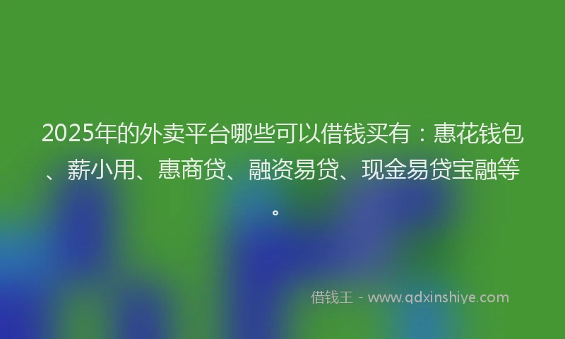 2025年的外卖平台哪些可以借钱买有：惠花钱包、薪小用、惠商贷、融资易贷、现金易贷宝融等。