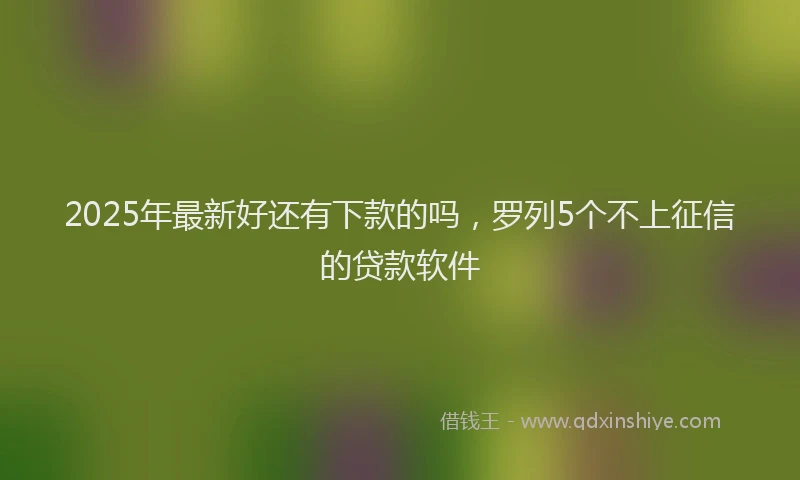 2025年最新好还有下款的吗，罗列5个不上征信的贷款软件