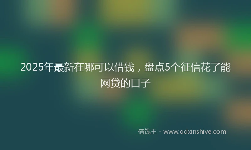 2025年最新在哪可以借钱，盘点5个征信花了能网贷的口子